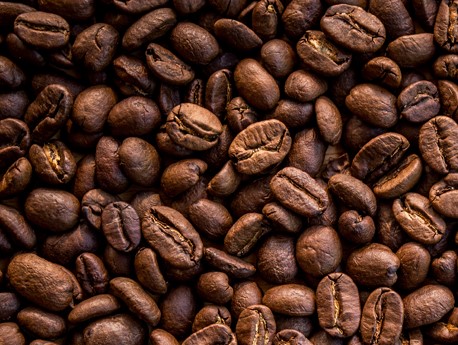 Grãos de café de qualidade